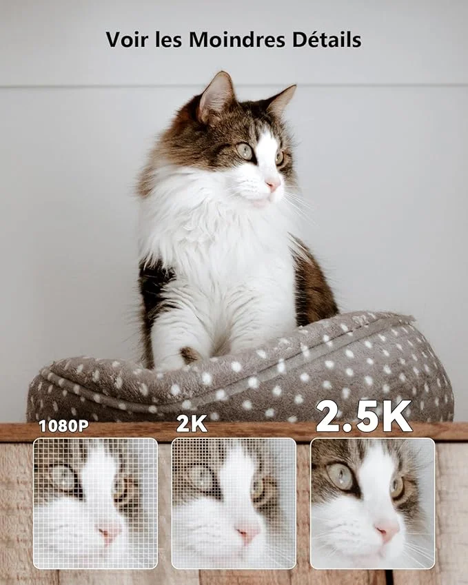 كاميرا مراقبة داخلية Imou بدقة 2.5K (4MP) – اتصال WiFi – رؤية بزاوية 360° – كشف ذكي للبشر – تتبع تلقائي بالذكاء الاصطناعي – صفارة إنذار – صوت ثنائي الاتجاه – وضع الخصوصية – متوافقة مع Alexa – مثالية للأطفال والحيوانات الأليفة